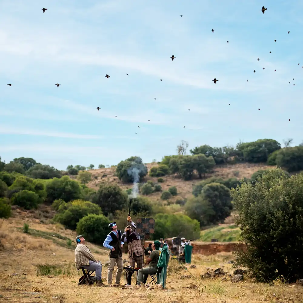 Spanish Partridge Shooting at El Crespo