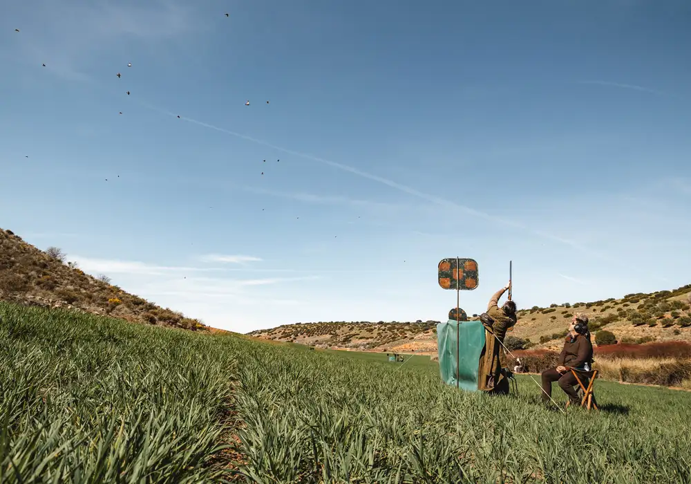 Shooting Partidge Finest Spanish Partridge Shooting - El Crespo - Spain
