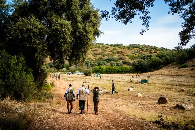El Crespo - Finest Spanish Partridge Shooting